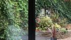 single-pane single-pane